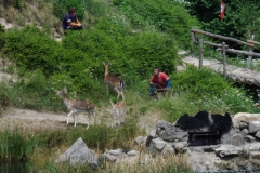 IMGP3074